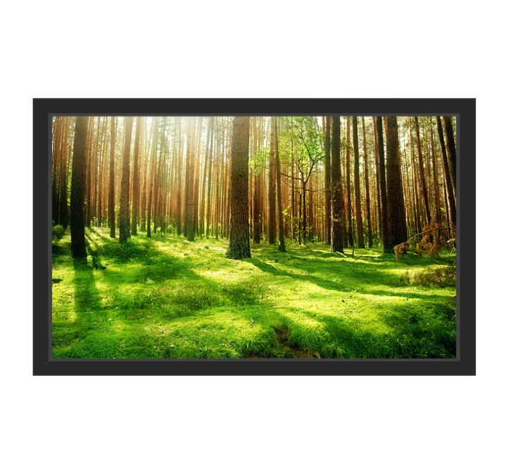 液晶監(jiān)視器43寸 液晶監(jiān)視器43寸