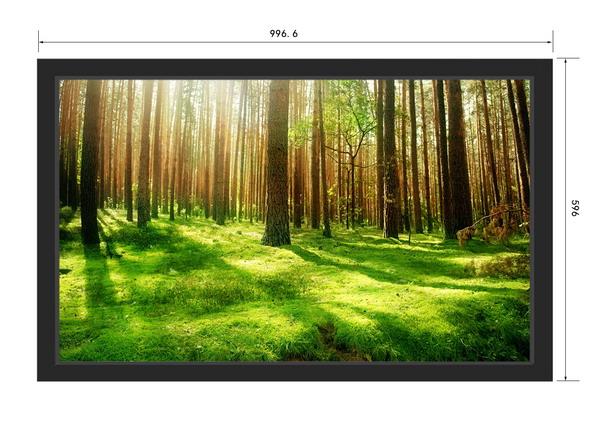 液晶監(jiān)視器43寸