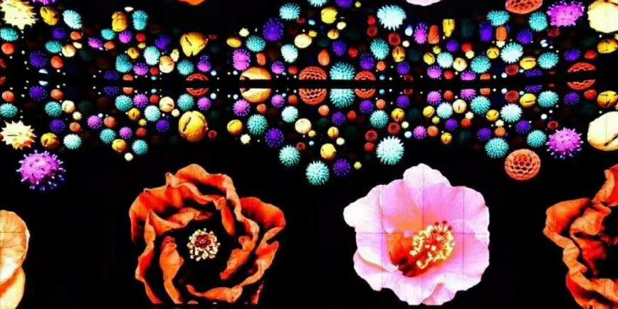 大屏幕拼接顯示墻未來技術發展方向